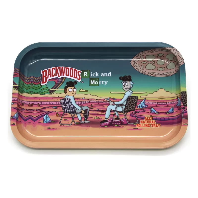 MEDIUM METAL- RICK AND MORTY PINK PLANET